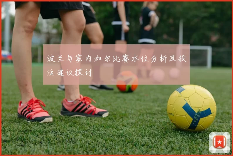 波兰与塞内加尔比赛水位分析及投注建议探讨